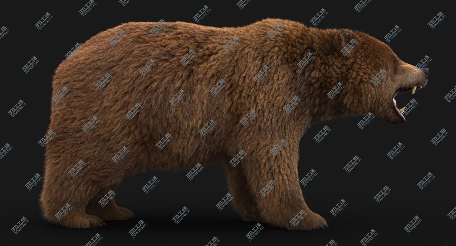 images/goods_img/20210114/3D model Bear (3) (FUR)/1.jpg